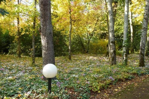 Le Buisson 호텔 몬트리오스수르로아 외부 사진